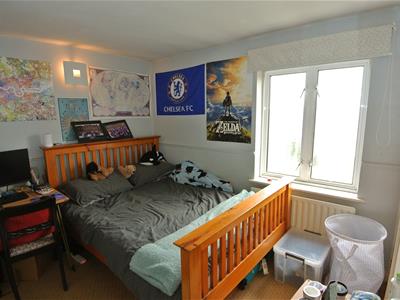 Picture 14